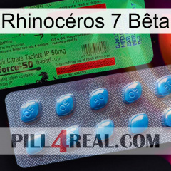 Rhinocéros 7 Bêta new03